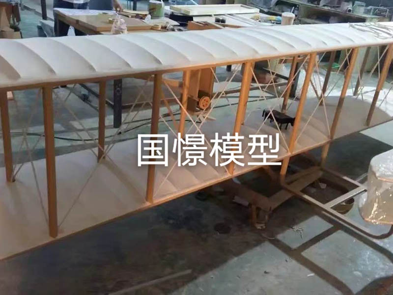 安福县飞机模型